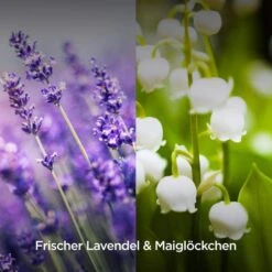 Airwick Raumduft Duftspray, 237 Ml, Geruchsneutralisierend, Lavendel & Maiglöckchen 12 Airwick Raumduft Duftspray, 237 Ml, Geruchsneutralisierend, Lavendel & Maiglöckchen -Franz-Mensch Shop 0bcfc7788d6365d46cb9ed0ed7beddc3442c879e raumduft airwick duftspray 237 ml