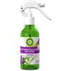 Airwick Raumduft Duftspray, 237 Ml, Geruchsneutralisierend, Lavendel & Maiglöckchen -Franz-Mensch Shop 4c9aeb3d8dd789d1f5fa2dc765dddcce308f233a raumduft airwick duftspray 237 ml