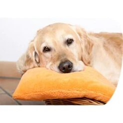 Tuba Teppichreiniger Fleckenspray, Mit Frischeduft, Mit Sprühkopf, Biohygienic-Formel, 500ml -Franz-Mensch Shop 6a7f4d27a7e3c22b28b7a63bc01ebca75280fa82 teppichreiniger tuba fleckenspray mit frischeduft