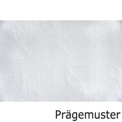 Katrin Papierhandtücher Classic Non Stop L 3, 3-lagig, Interfold-Falz, 20,3 X 32 Cm, 2250 Stück 10 Katrin Papierhandtücher Classic Non Stop L 3, 3-lagig, Interfold-Falz, 20,3 X 32 Cm, 2250 Stück -Franz-Mensch Shop 76ef6fd09de319a9372af40c42e8f7fcc3ce12e2 papierhandtuecher katrin classic non stop l 3