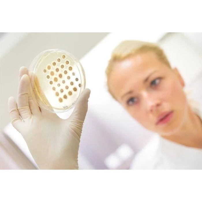 NITRAS Einmalhandschuhe Ideal Care Latex, 8201, Gepudert, Weiß, 100 Stück, Größe XL 4 NITRAS Einmalhandschuhe Ideal Care Latex, 8201, Gepudert, Weiß, 100 Stück, Größe XL – Bild 2